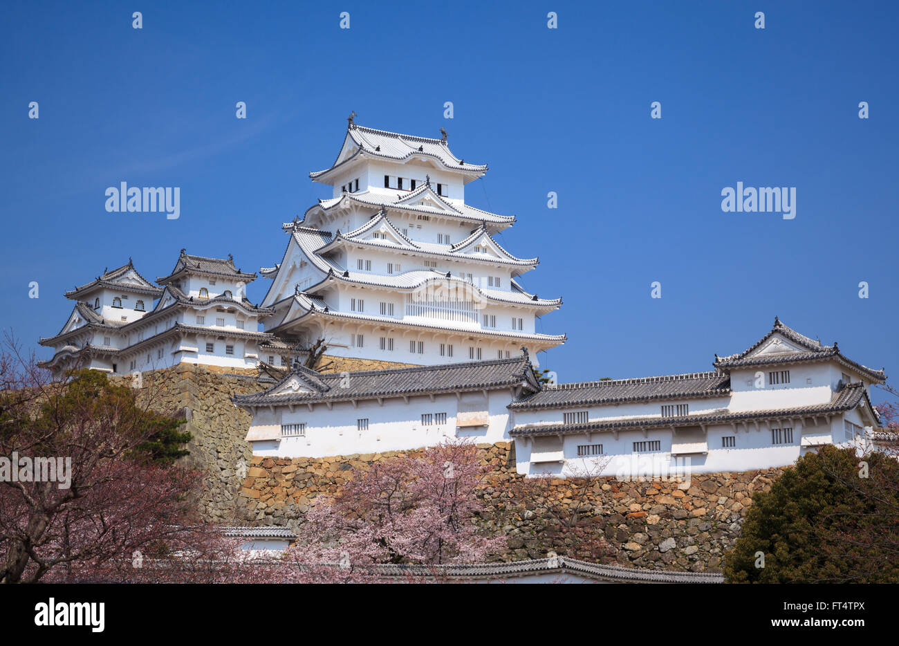 Burg Himeji in Frühjahr Kirschblüte, Hyogo, Japan Stockfoto
