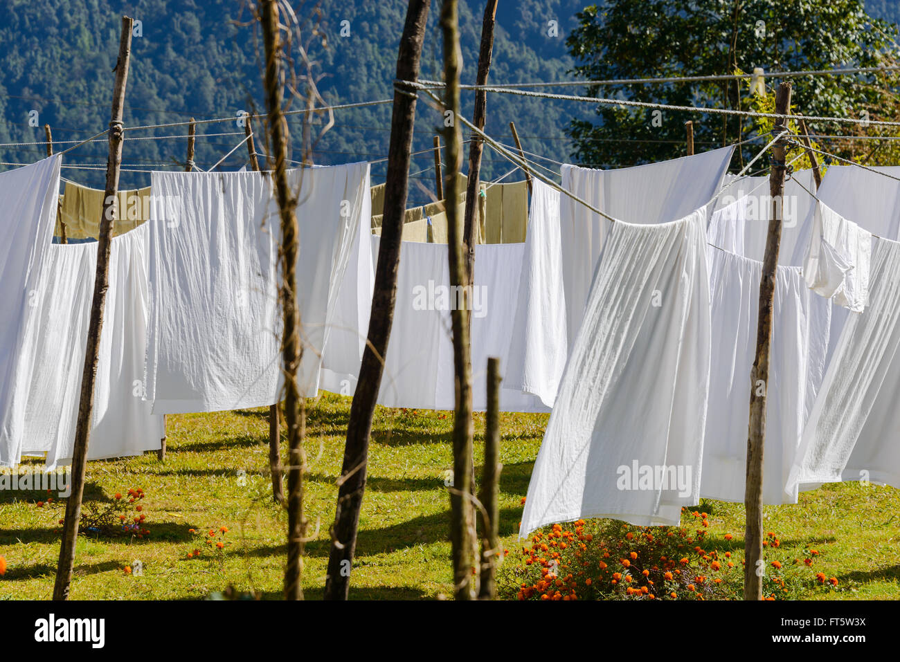 Weiße Tücher trocknen in einem Garten, Nepal Stockfoto