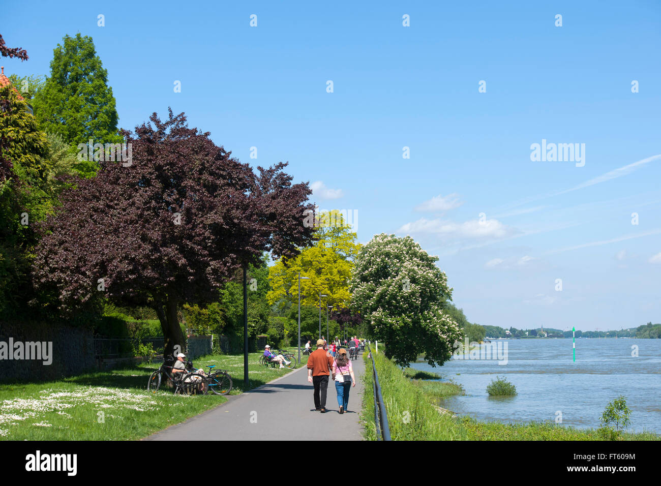 Deutschland, Bonn, Bad Godesberg-Mehlem, John-Jay-McCloy-Ufer Stockfoto