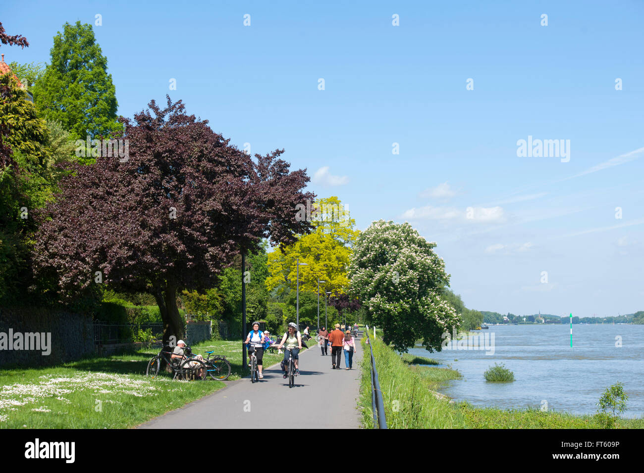 Deutschland, Bonn, Bad Godesberg-Mehlem, John-Jay-McCloy-Ufer Stockfoto