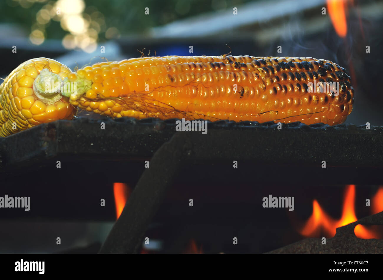 gegrilltem Mais auf dem heißen Herd Stockfoto