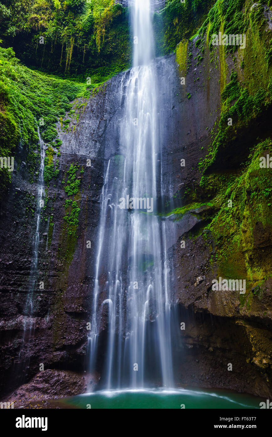 Madakaripura Wasserfall, Ost-Java, Indonesien Stockfoto