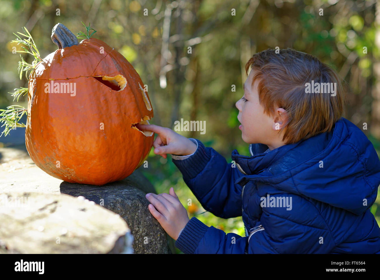 Junge sitzt vor einem Halloween-Kürbis, Bayern, Deutschland Stockfoto
