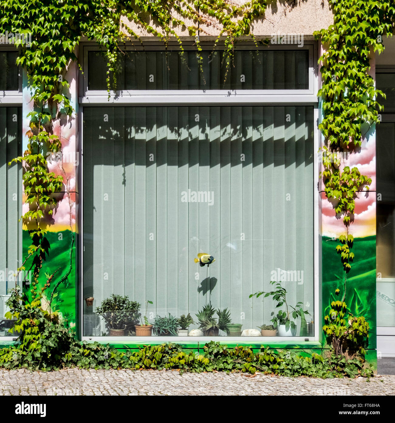 Berlin Artzehaus medizinisches Zentrum Fenster mit Wandmalerei, Schlingpflanzen und Topf Anlagenbild Stockfoto