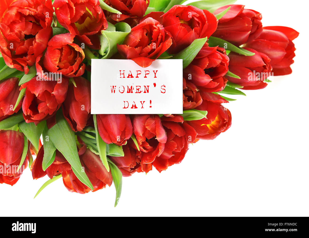 Rote Tulpen mit weißem Papier-Karte mit Beispieltext Happy Womens Day! Frühlingsblumen Stockfoto