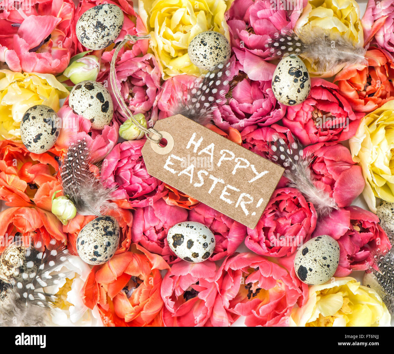 Oster-Deko mit Frühlingsblumen Tulpe und Eiern. Frohe Ostern! Stockfoto