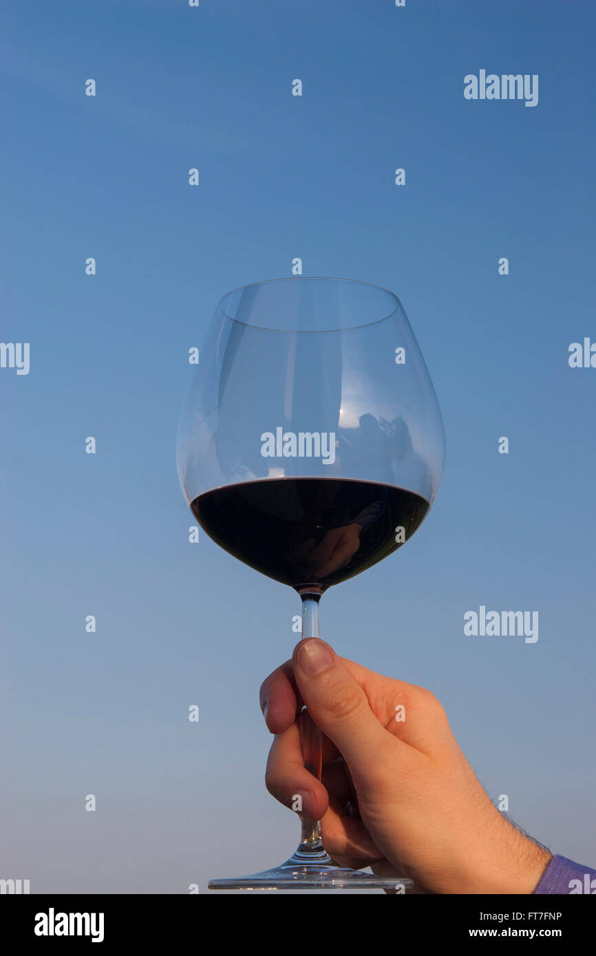 Hand hält ein Glas Rotwein Stockfoto
