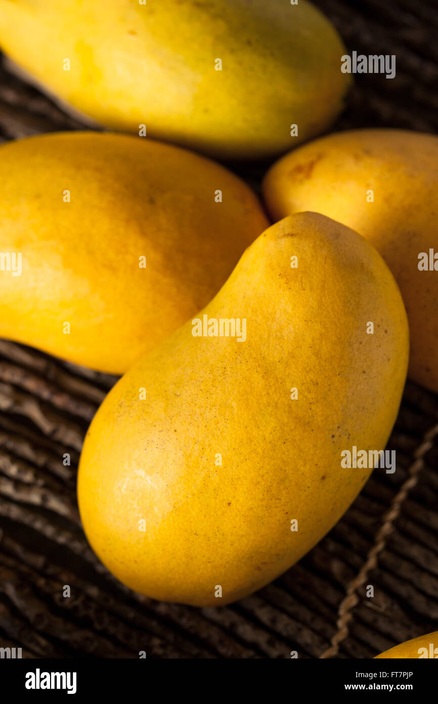 Rohe organische gelben Mangos essfertig Stockfoto