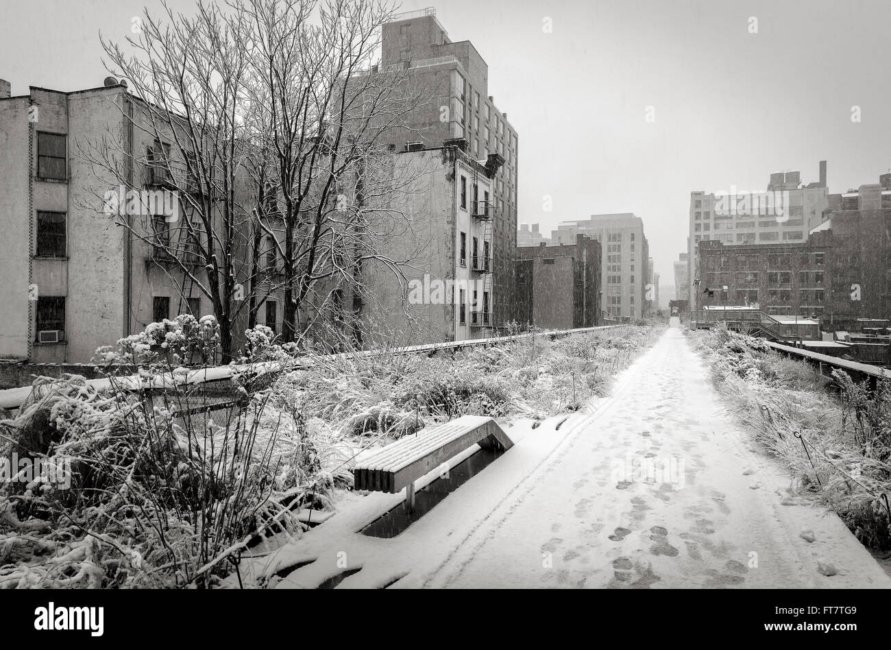 & Schwarz-weiß-Ansicht der High Line mit nach einem Schneesturm Winter Schnee bedeckt. Chelsea, Manhattan, New York City Stockfoto