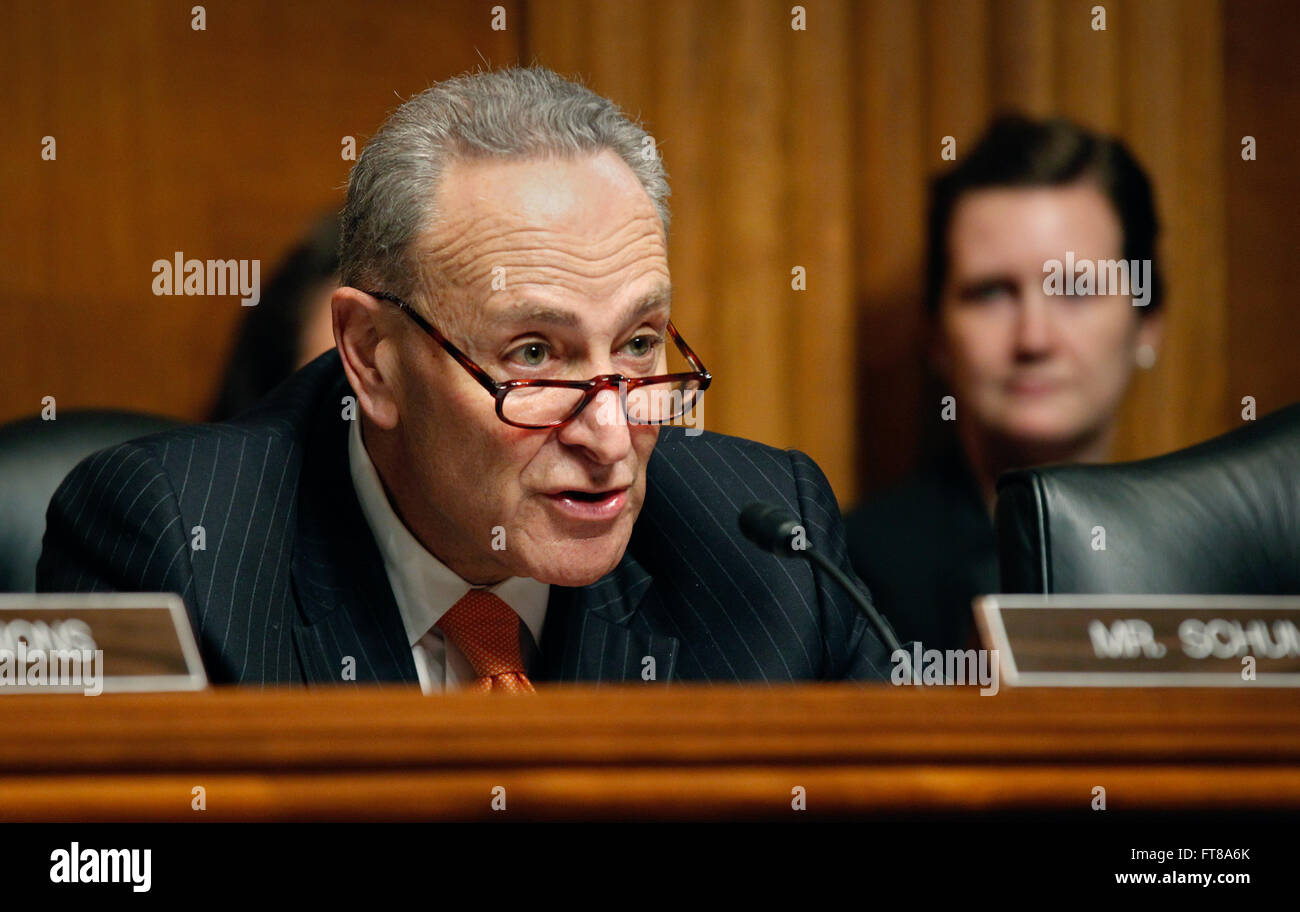 Senator Charles Schumer leitet 2016 eine Anhörung im Senat, bei der er sich an wichtige Persönlichkeiten des US-Ministeriums für Heimatschutz wendet. Die Sitzung konzentrierte sich auf die nationale Sicherheit, die Einwanderungspolitik und die Grenzkontrollmaßnahmen, wobei verschiedene Experten Zeugenaussagen zu Sicherheitsstrategien und Innovationen bei der Durchsetzung der Einwanderung gaben. Stockfoto