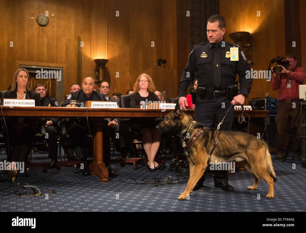 CBP Eckzahn Officer Dowling und sein Partner Nicky demonstrieren, wie ein Hund genutzt wird, um suchen und finden Währung und Schusswaffen auf Passagiere während der Anhörung im US Senate Committee on Homeland Security und Governmental Affairs auf wie Canine Programme tragen zur Homeland Security. Foto von James Tourtellotte. Stockfoto