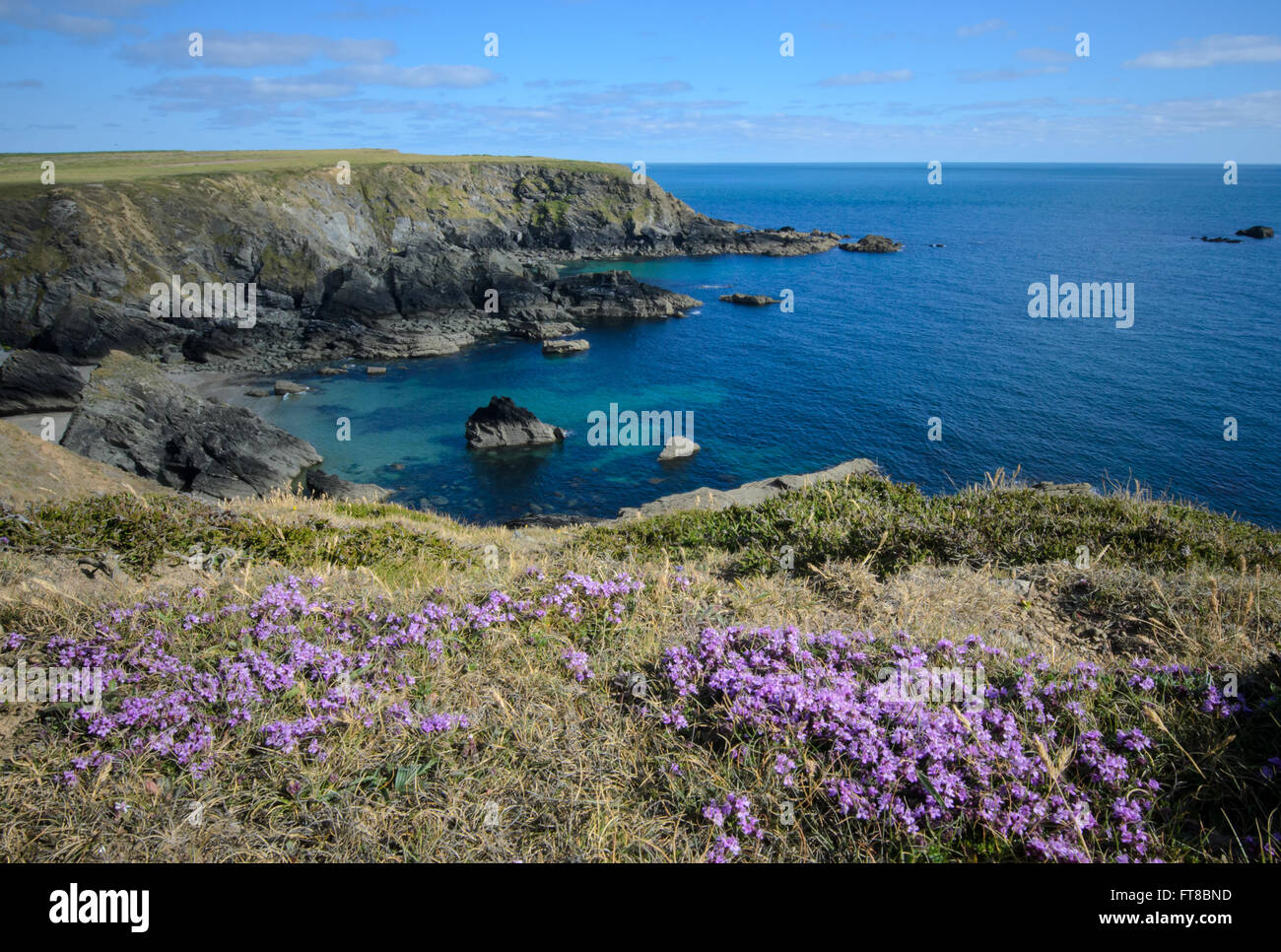 Atlantikküste in Pembrokeshire Coast National Park, Großbritannien Stockfoto