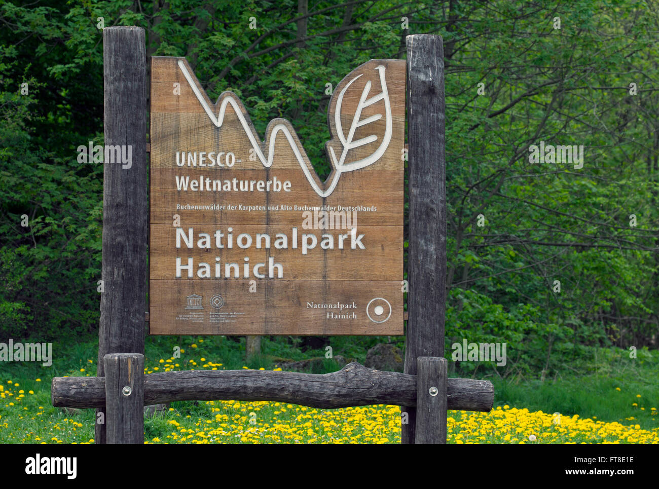 Zeichen des Nationalparks Hainich Eingang / Nationalpark Hainich, Thüringen / Thüringen, Deutschland Stockfoto