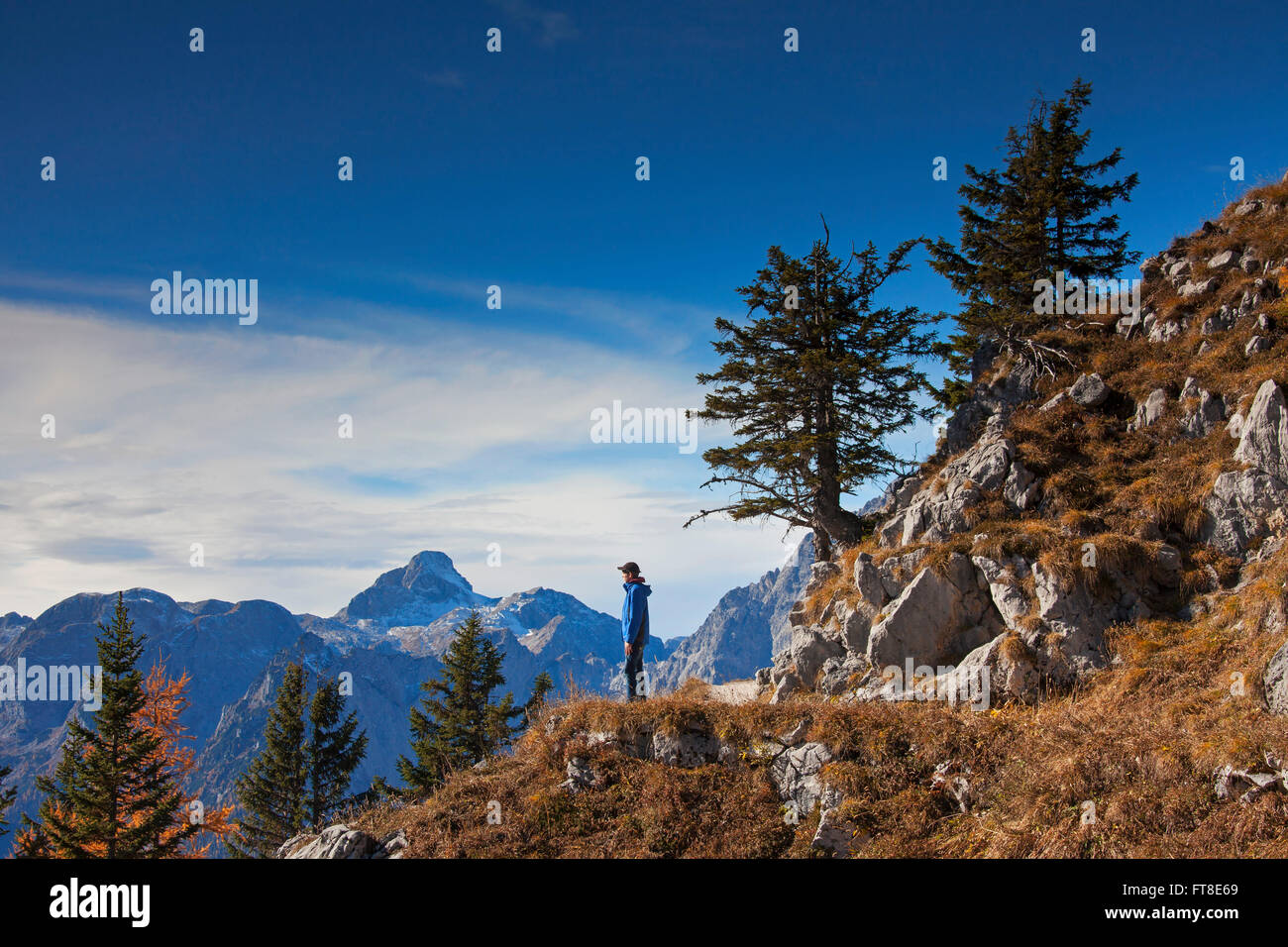Walker mit Blick auf die Berge vom Mount Jenner im Nationalpark Berchtesgaden im Herbst, Bayerische Alpen, Bayern, Deutschland Stockfoto