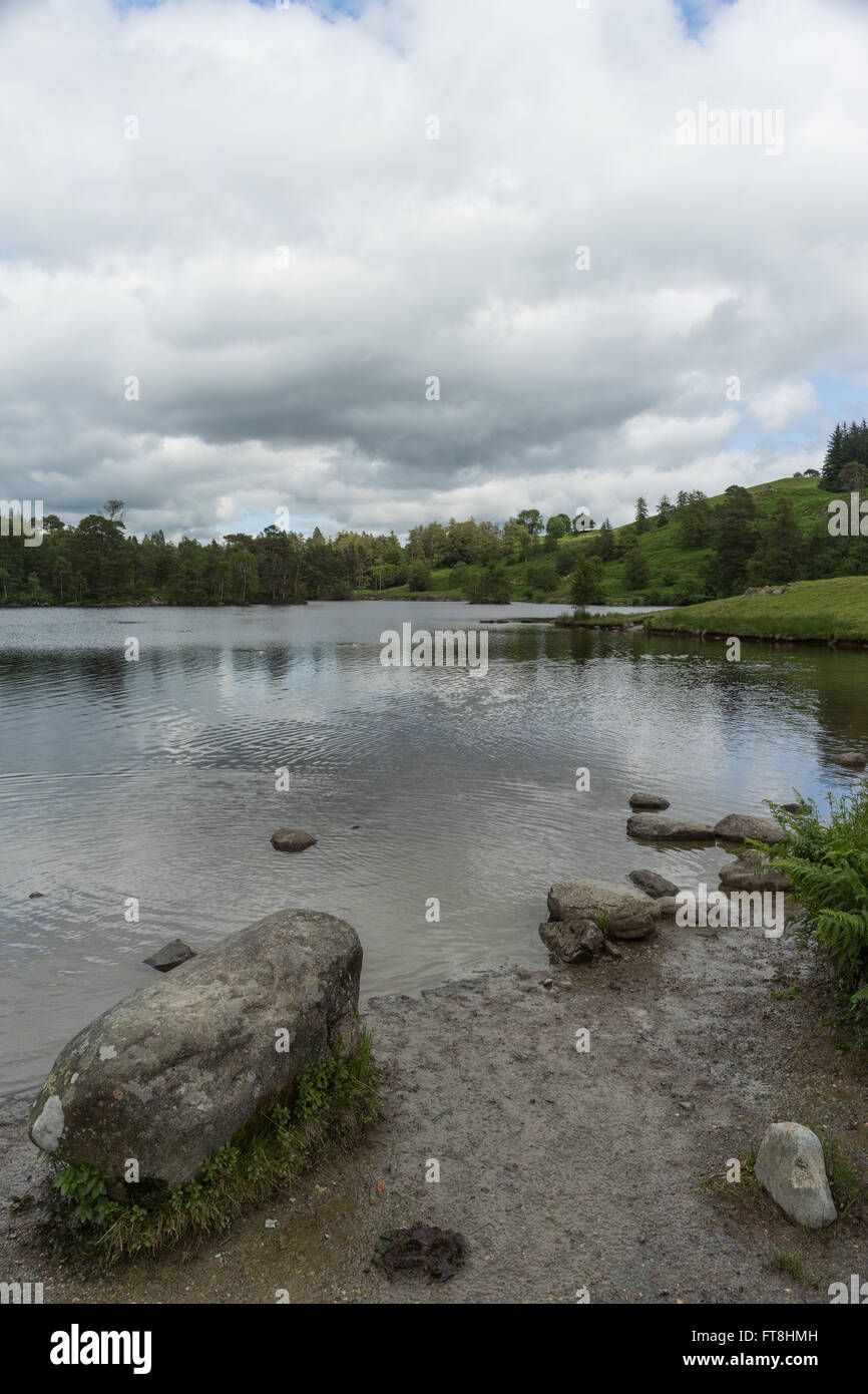 Tarn Hows auf eine stimmungsvolle Nachmittag, hohe Wolken blockiert die Sonne. Stockfoto