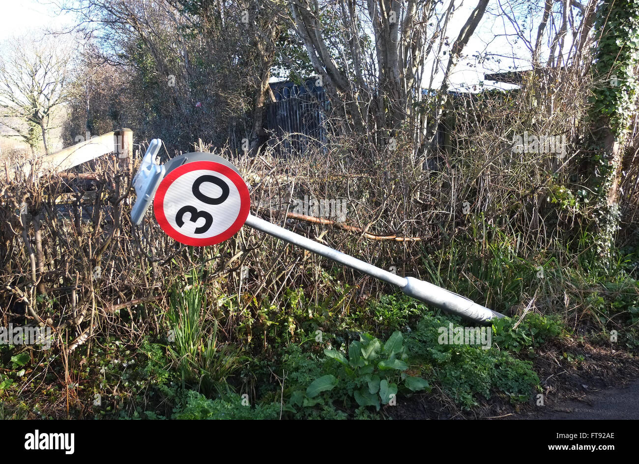 30 km/h Höchstgeschwindigkeit Zeichen klopfte ein Auto oder LKW in einer ländlichen Somerset-Gasse. 25. März 2016 Stockfoto