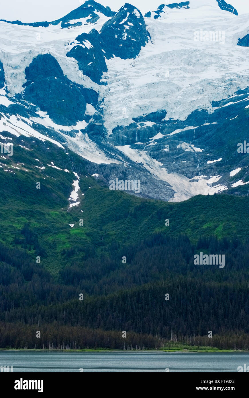 Prinz-William-Sund, College Fjord, Alaska Stockfoto