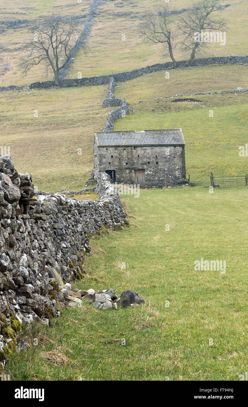 Traditionelle Scheune auf dem Dales Weg-Wanderweg in der Nähe von Kettlewell in den Yorkshire Dales National Park Stockfoto