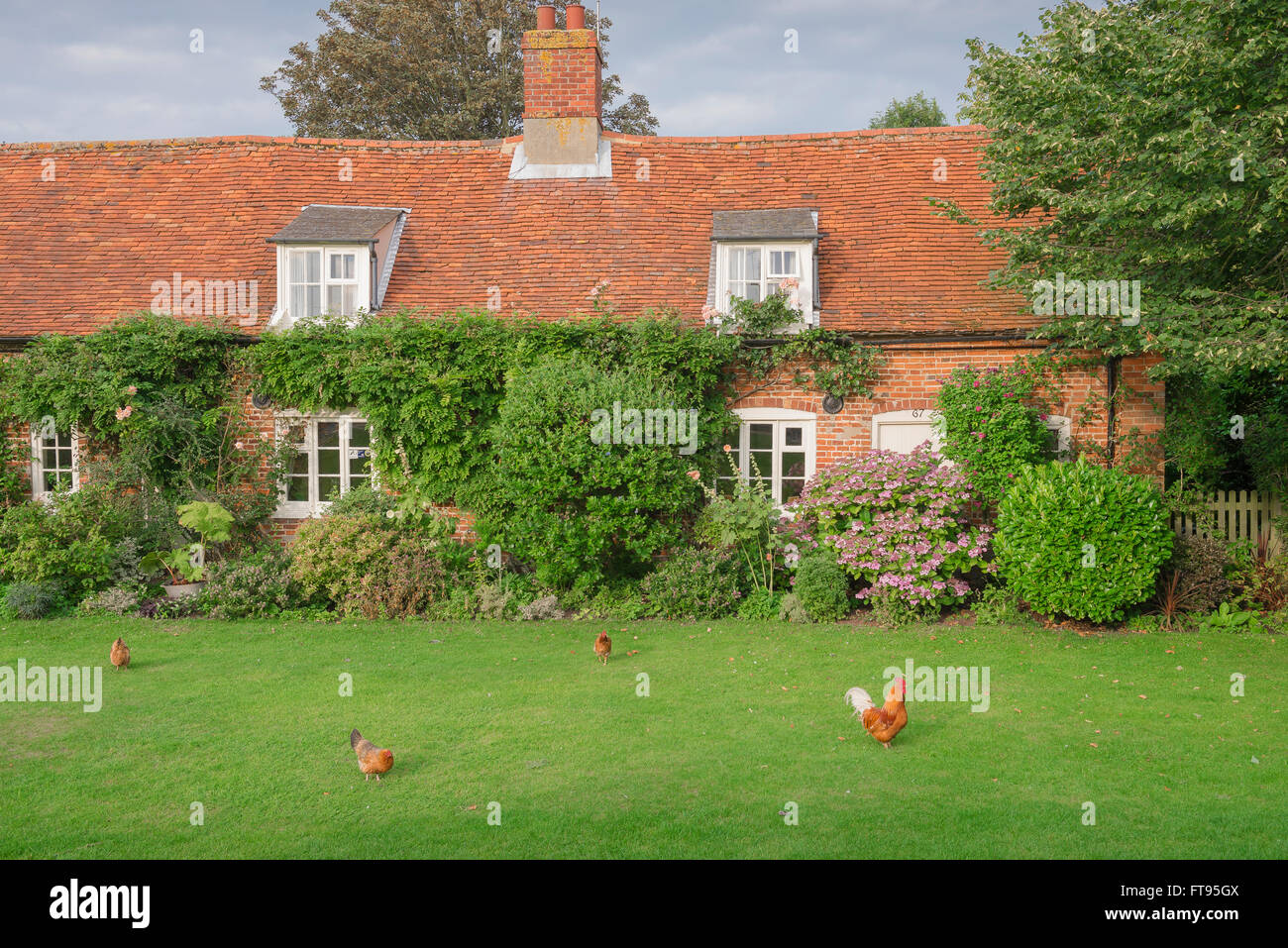 England English Village Green, Blick auf ein Cottage und Grün in der Quay Street in Orford, Suffolk, England, Großbritannien. Stockfoto