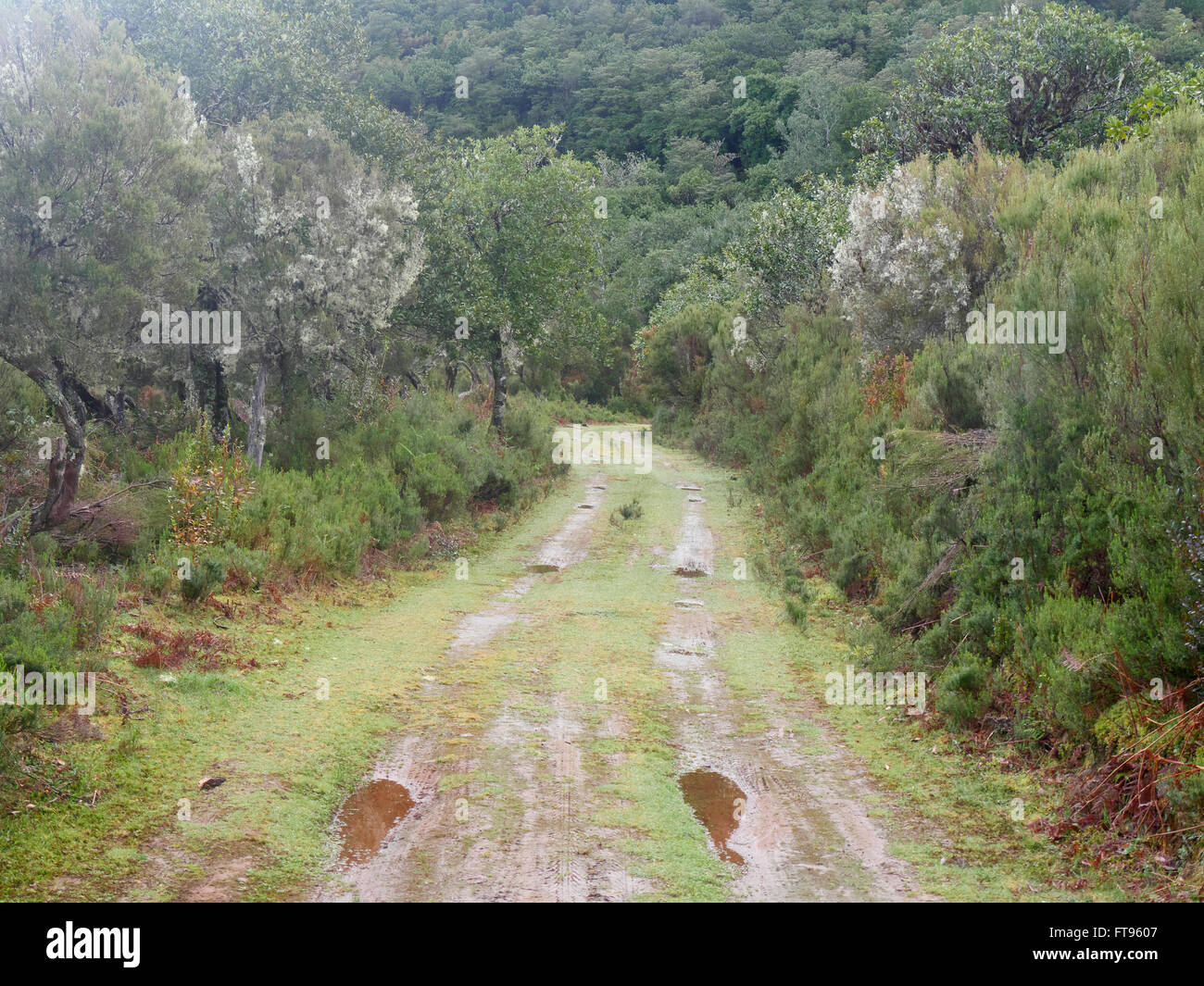 Parque Natural De stören, März 2016 Stockfoto