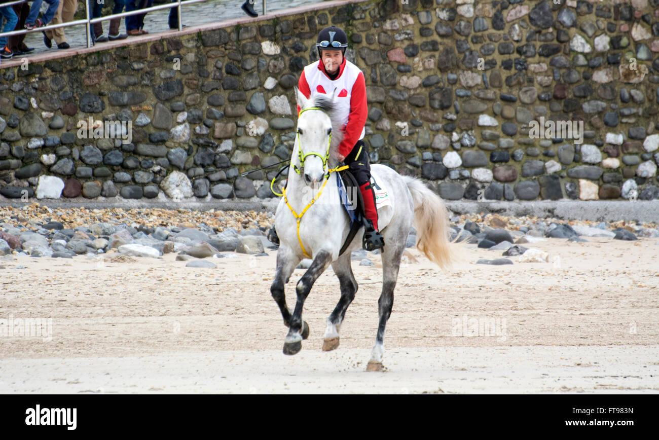Ribadesella, Spanien. 25. März 2016. Emilio Antuña mit 'Moro' im ersten Rennen von Pferderennen am Strand von Santa Marina am 25. März 2016 in Ribadesella, Spanien. Bildnachweis: David Gato/Alamy Live-Nachrichten Stockfoto