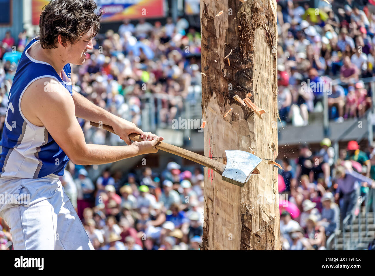 Sydney, Australien. 26. März 2016. Kyle Meyer von Romsey, konkurriert VIC in den 275mm Baum Felling Handicap Contest für der Royal Agricultural Society Holz hacken und Sägen Wettbewerb. © Hugh Peterswald/Pacific Press/Alamy Live-Nachrichten Stockfoto