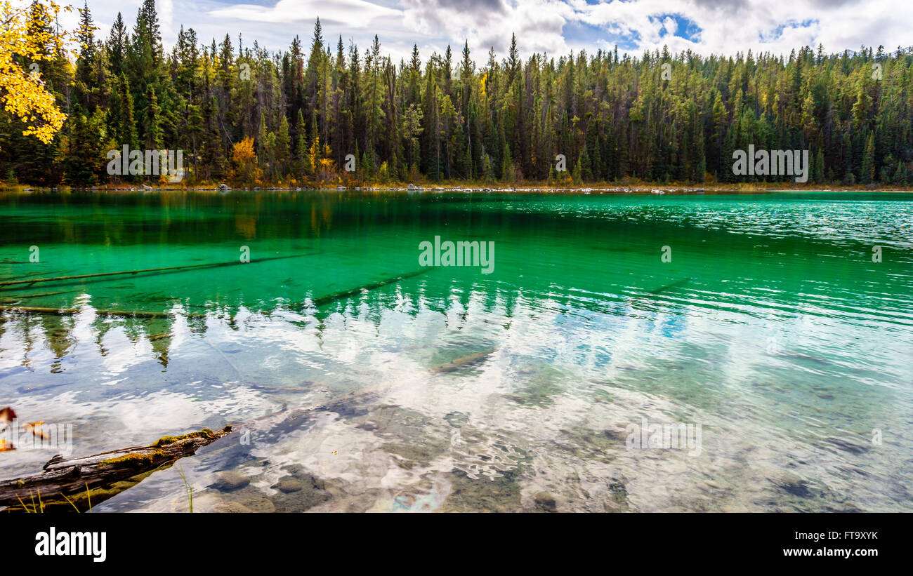 Die türkise Farbe der ersten See auf das Tal der fünf Seen Trail im Jasper Nationalpark in den Kanadischen Rocky Mountains in Alberta, Kanada Stockfoto