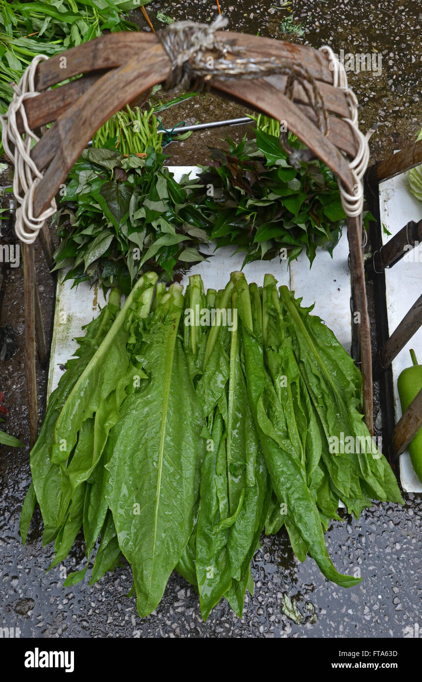 Gemüse zum Verkauf auf einem Markt in Guilin, China Stockfoto