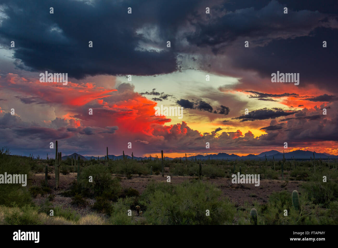 Stürmischer Monsun-Sonnenuntergang in der Wüste im Picacho Peak State Park, Arizona, USA Stockfoto