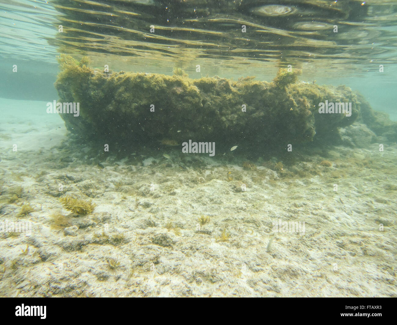 Atalaia Naturschutzgebiet, Fernando De Noronha, Brasilien Stockfoto