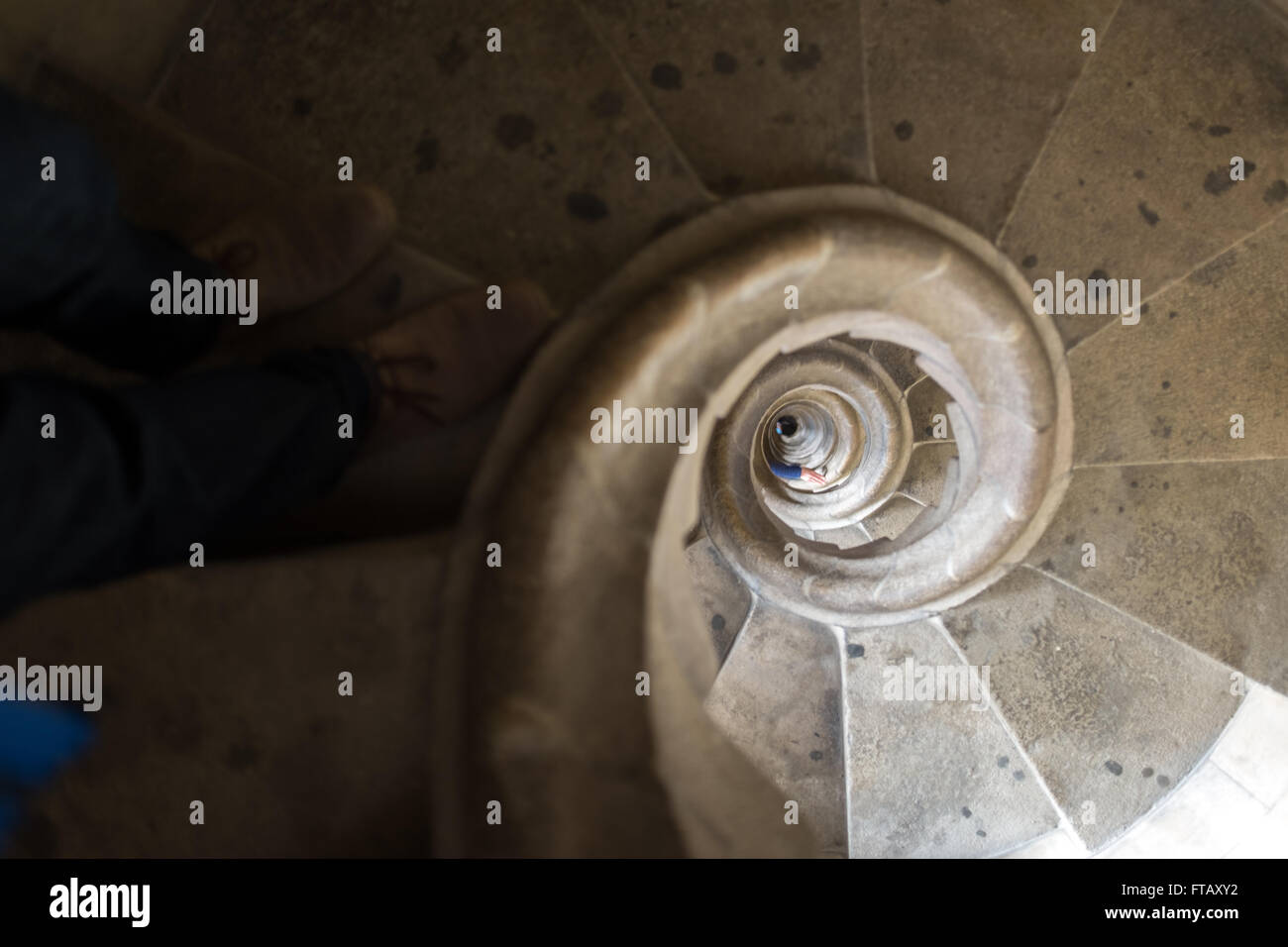 Interieur von Sagradia Familia Gaudi Kathedrale in Barcelona, Spanien, Europa Stockfoto