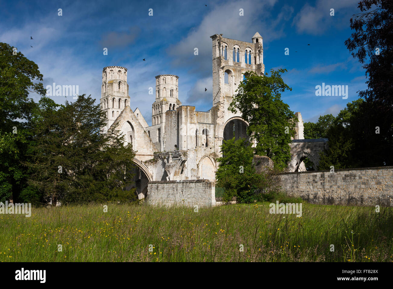 Jumièges Abbey Ruinen, Jumièges, Seine-Maritime, Normandie, Frankreich Stockfoto