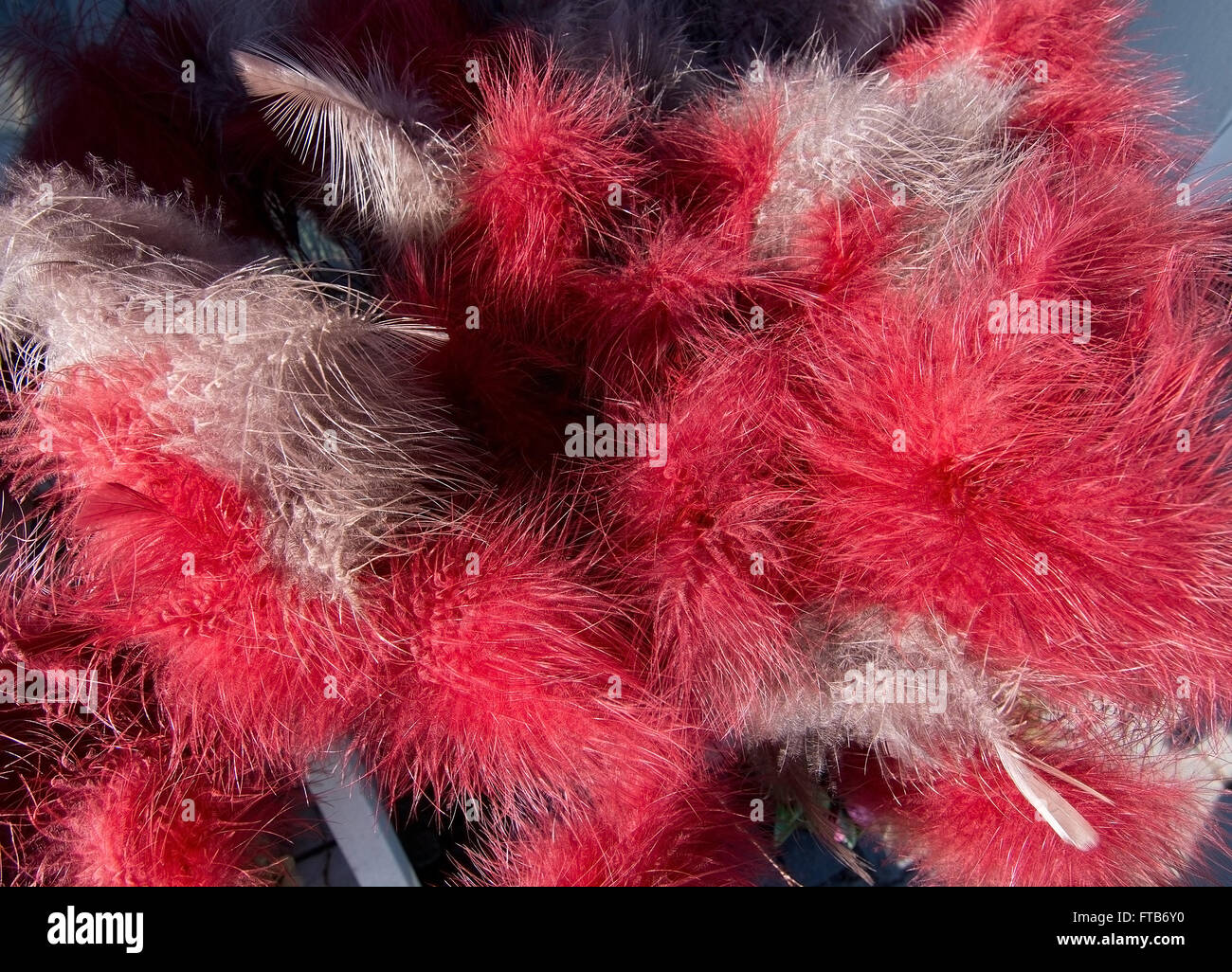 Ostern Feder Closeup Hintergrund rot gefärbt. Stockfoto