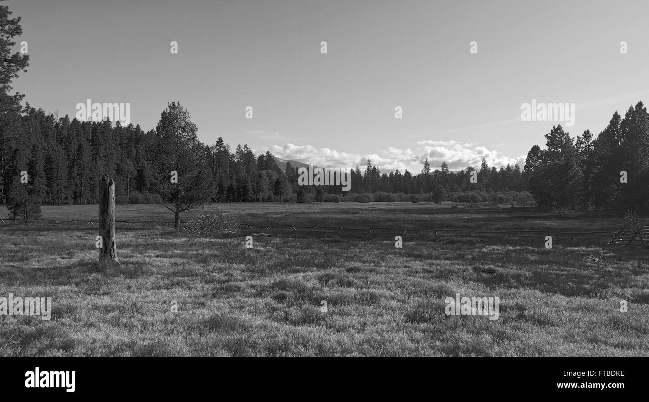 Cascade Mountains Wiese schwarz / weiß Stockfoto