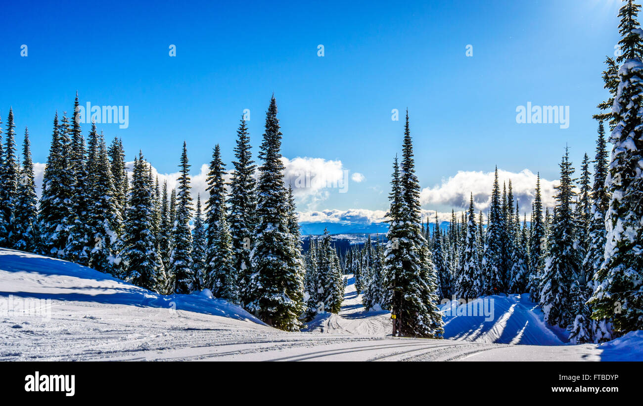 Schnee Felder in die hochalpine Skigebiete rund um das Dorf von Sun Peaks in der Shuswap Hochland von British Columbia im westlichen Kanada Stockfoto