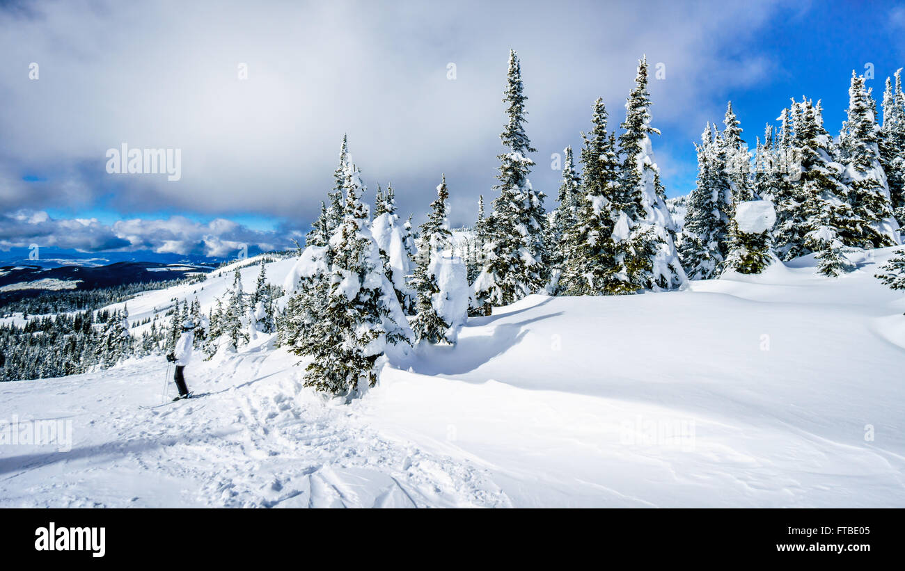 Schnee Felder in die hochalpine Skigebiete rund um das Dorf von Sun Peaks in der Shuswap Hochland von British Columbia im westlichen Kanada Stockfoto