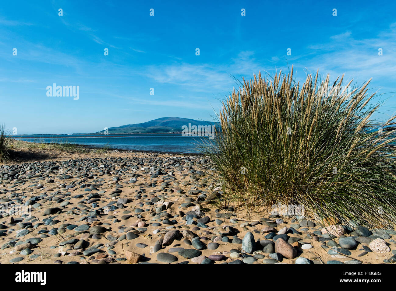 Dünengebieten am Strand von Sandscales, Offshore-Mündung, Cumbria Stockfoto