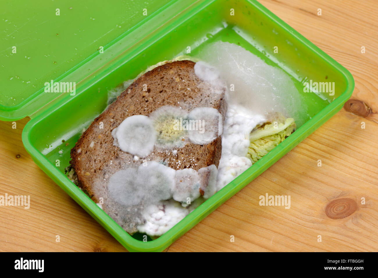 Verschimmelten Brot, Snack in einer box Stockfoto