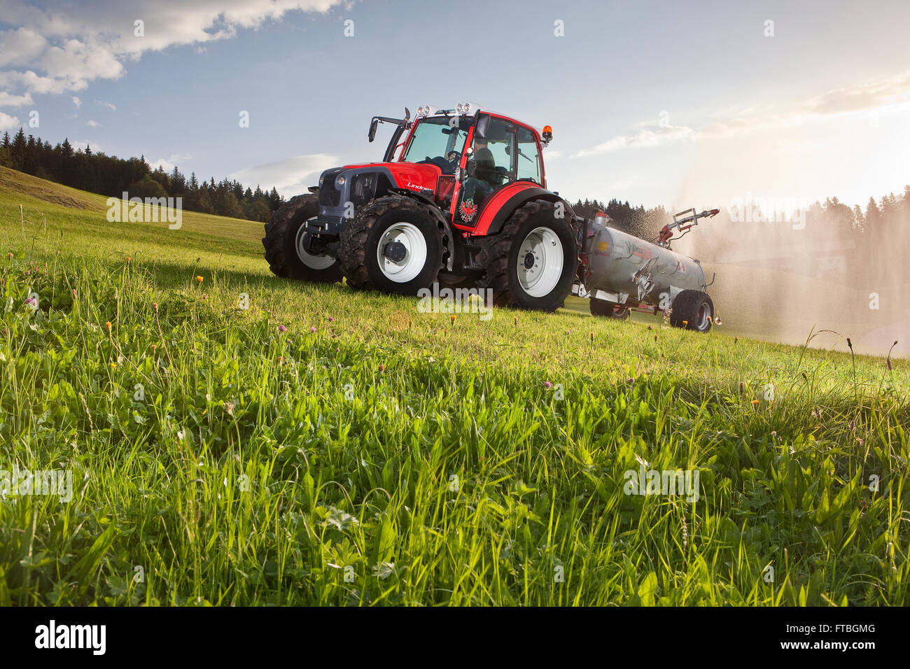 kuhfladen dünger HaGaFe Rinderdung, Kuhmist, Organischer Gartendünger, Universaldünger, –  HaGaFeShop main image 0