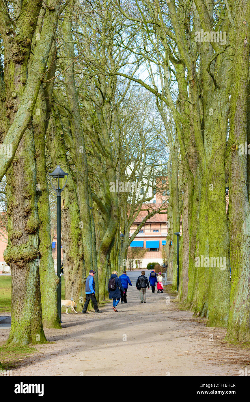 Kristianstad, Schweden - 20. März 2016: Passanten in einer Gasse mit Bäumen auf beiden Seiten. Eine Person hat einen Hund. Es ist Ohr Stockfoto