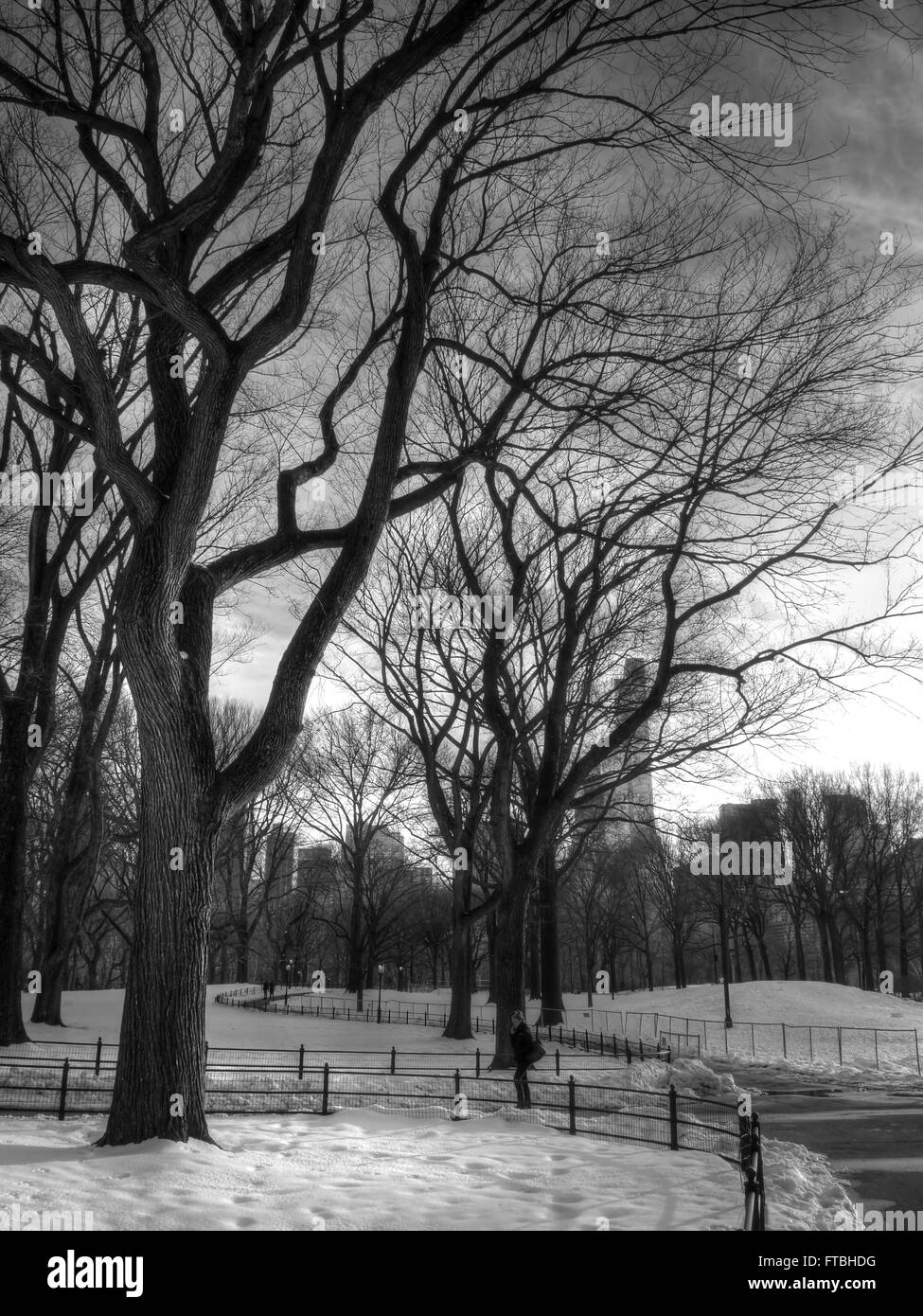 Central Park im winter Stockfoto