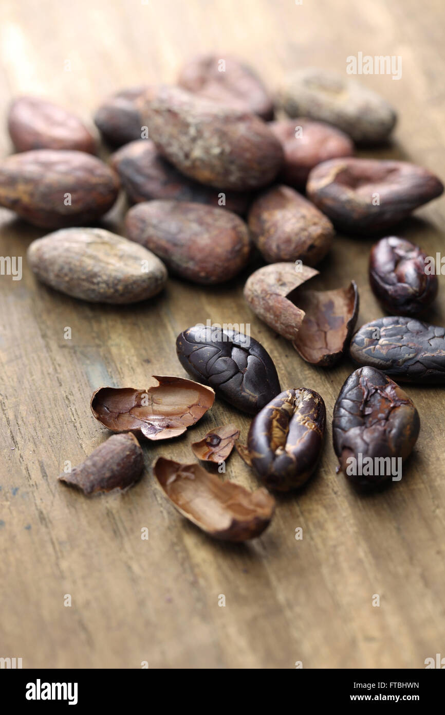 Rohe und geröstete Kakaobohnen Kakao Stockfoto