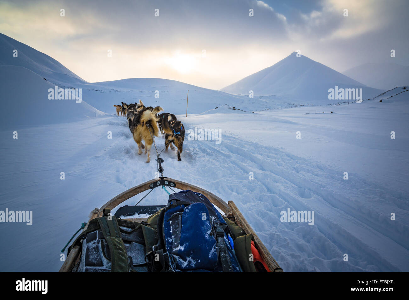 Hundeschlitten Scott Turnerbreen Glacier, in der Nähe von Longyearbyen, Spitzbergen, Svalbard Stockfoto