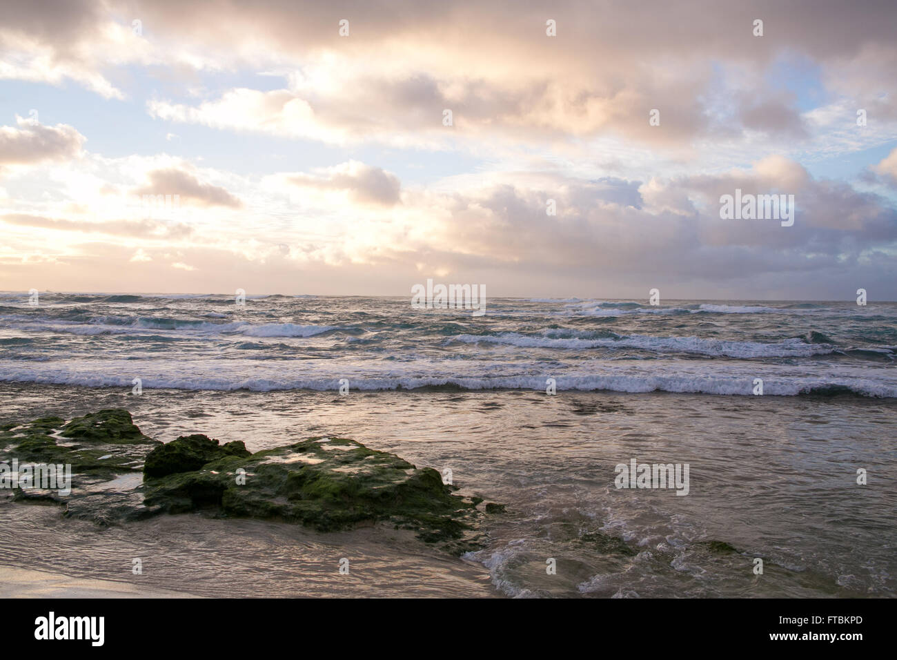 Wellen am Strand, North Shore, Oahu, Hawaii Stockfoto