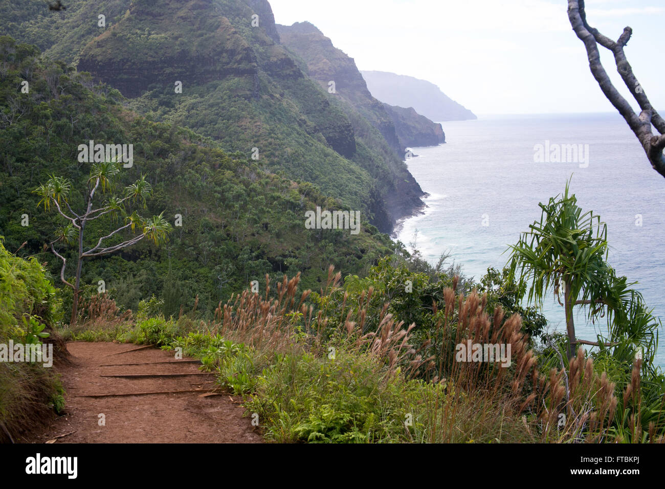 Auf dem Kalalau Trail im Kauai, Hawaii übersehen. Stockfoto