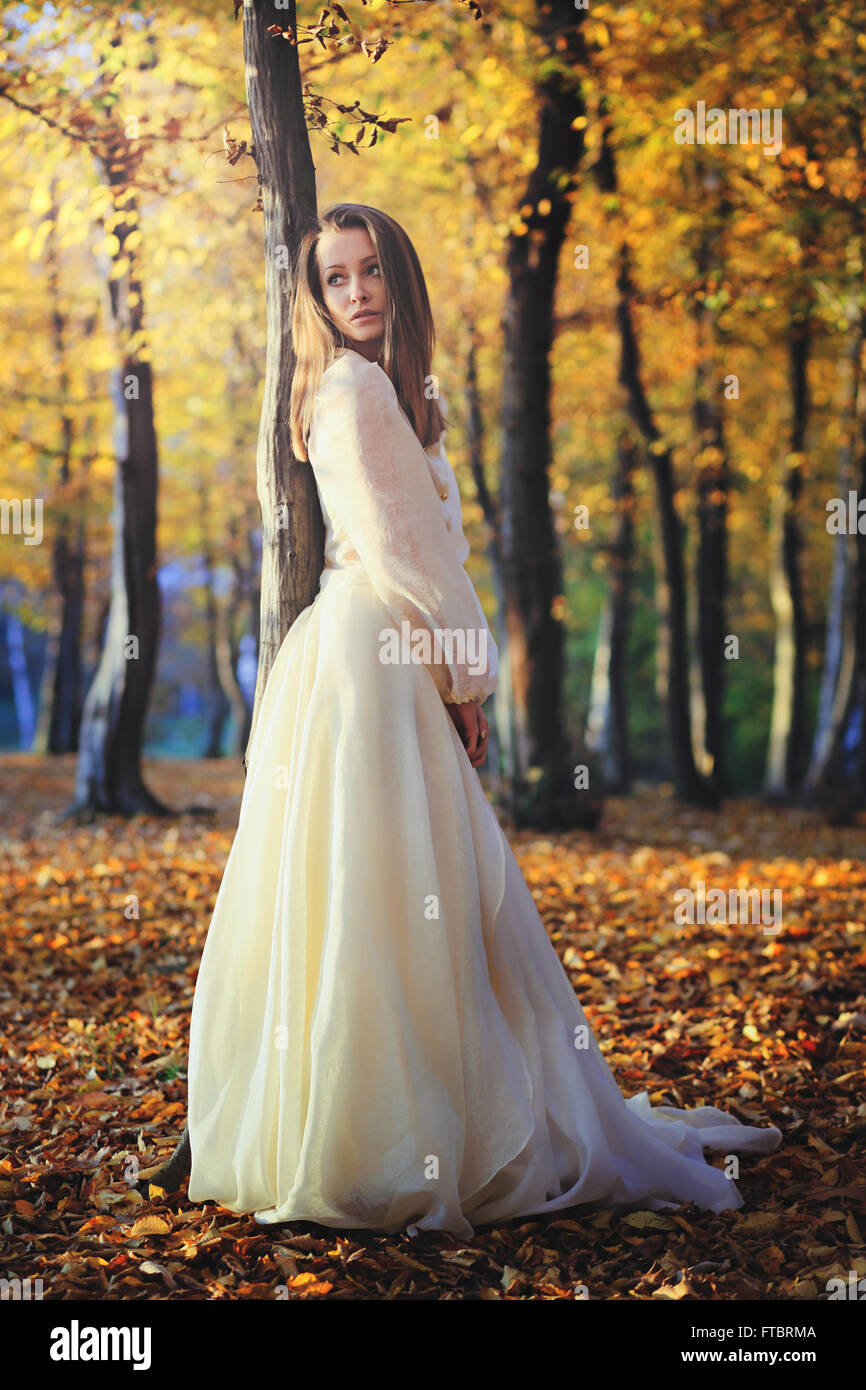 Schöne Frau mit viktorianischen Kleid posiert in Birkenwäldern. Sonnenuntergang Herbst Licht Stockfoto