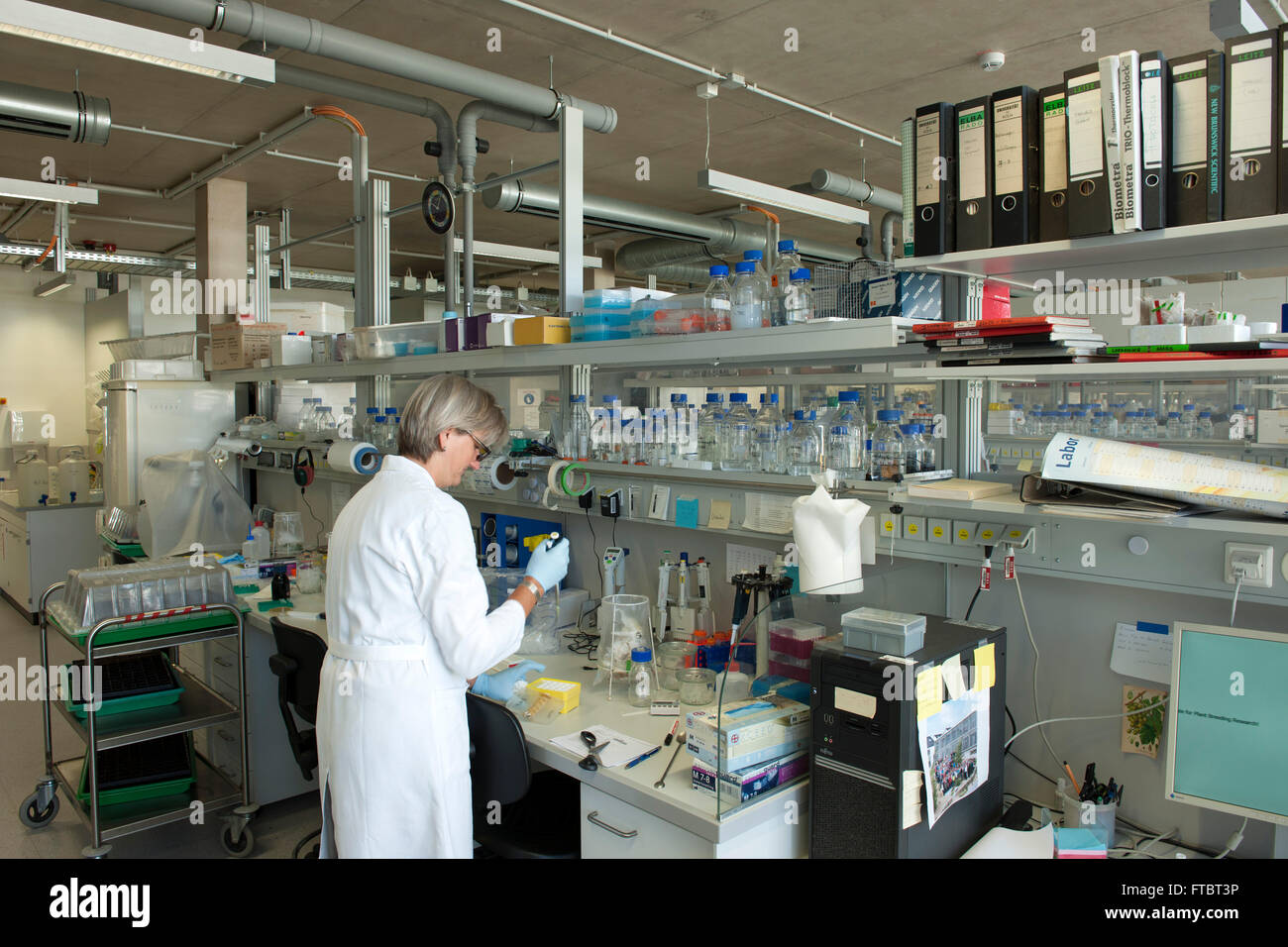 Deutschland, Köln, Max-Planck-Institut Für Pflanzenzüchtungsforschung, "Neue Arbeit" Stockfoto