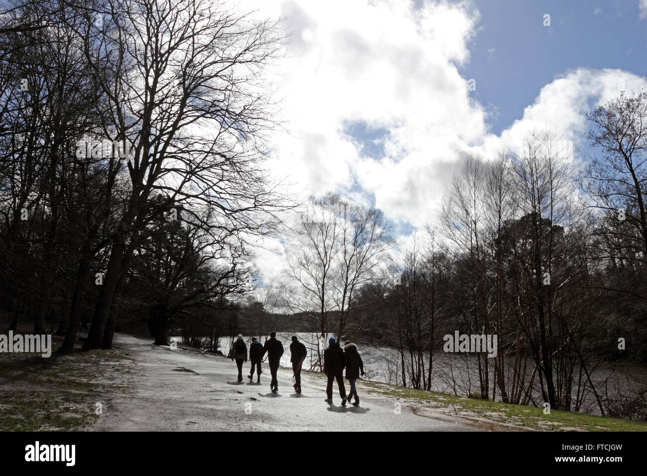 Virginia Water, in der Nähe von Windsor, Berkshire, UK. 27. März 2016. Ein Tag der Sonne und Duschen in Virginia Water am Ostersonntag. Bildnachweis: Julia Gavin UK/Alamy Live-Nachrichten Stockfoto