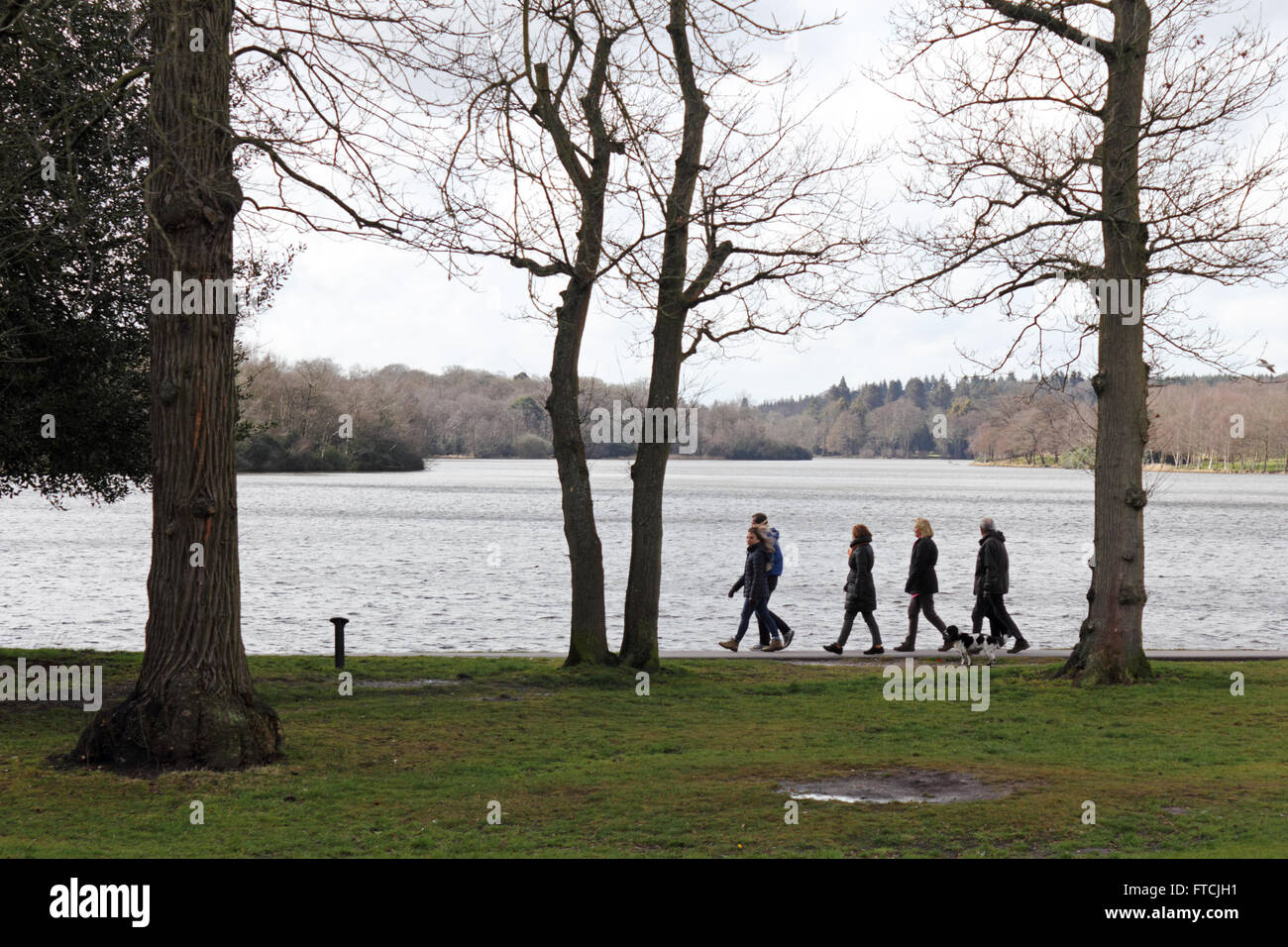 Virginia Water, in der Nähe von Windsor, Berkshire, UK. 27. März 2016. Ein Tag der Sonne und Duschen in Virginia Water am Ostersonntag. Bildnachweis: Julia Gavin UK/Alamy Live-Nachrichten Stockfoto