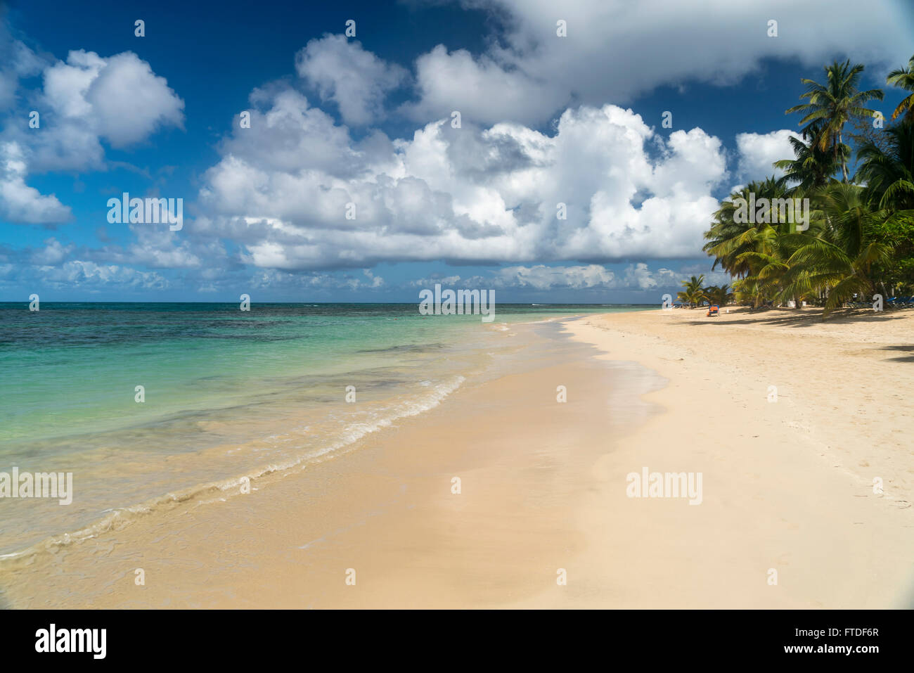Palmen gesäumten Strand in Las Terrenas, Halbinsel Samaná, Dominikanische Republik, Karibik, Amerika, Stockfoto